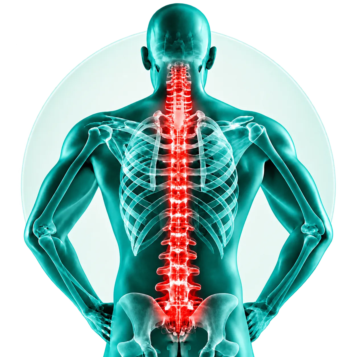 Interactive anatomy treatment areas